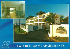 Cocomo Palms Flyer