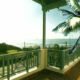 Cocomo Palms Flyer