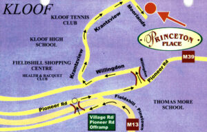 Princeton Place Flyer