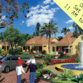 The Willows Flyer